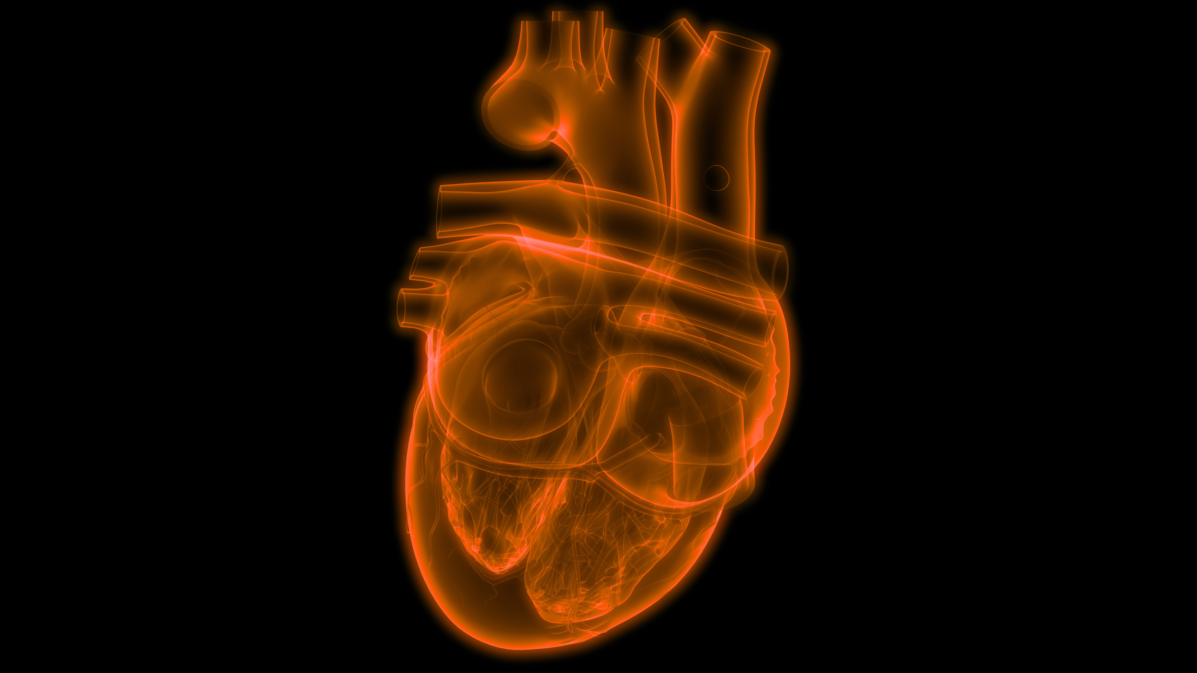 Heart simulation. The Oncological Data and Computational Sciences program is funding a variety of projects looking at cancer. Credit: Oden Institute