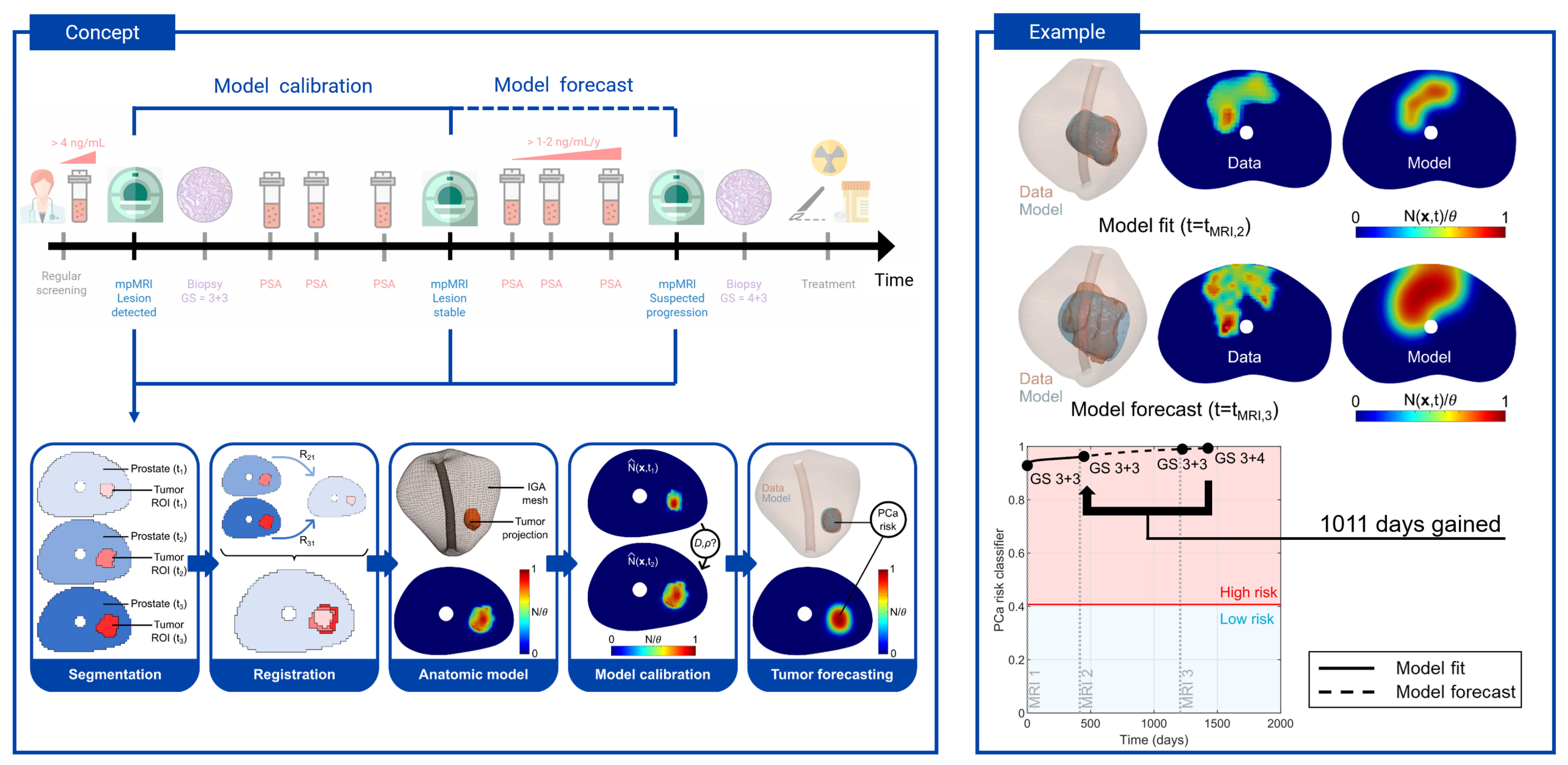 Examples of personalized predictions of prostate cancer growth using a biomechanistic model.